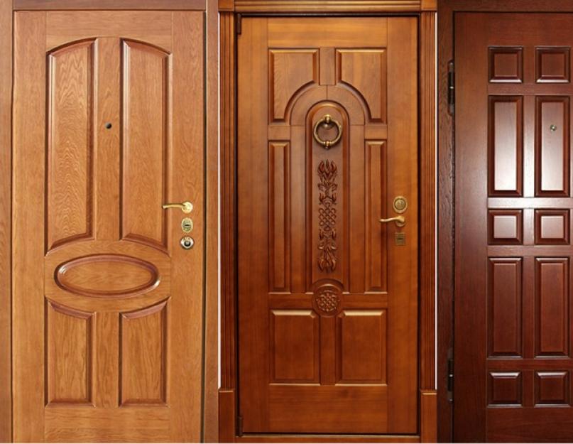 Как правильно выбрать входную дверь – безопасность превыше всего. Какую входную дверь поставить в частный дом Какие наружные двери лучше для частного дома