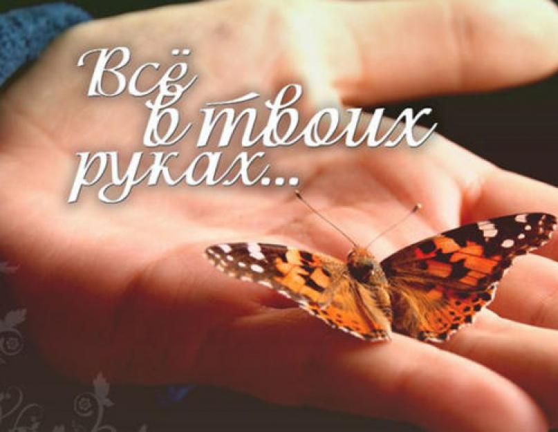 Притча про бабочку. Притча о бабочке Притча о бабочке: все в твоих руках