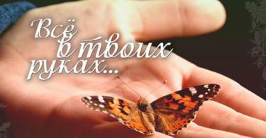 Притча о бабочке Притча о бабочке: все в твоих руках