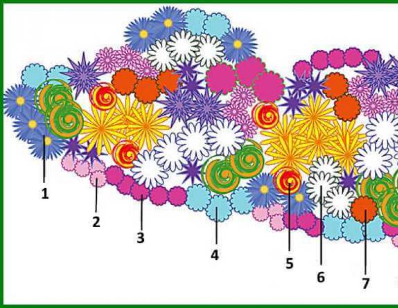 Клумба из многолетников для начинающих непрерывного цветения. Цветник многолетников непрерывного цветения. Схема посадки непрерывного цветения многолетников. Схема цветочной клумб непрерывного цветения. Схема цветника из многолетников.